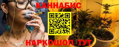 крисы Будённовск